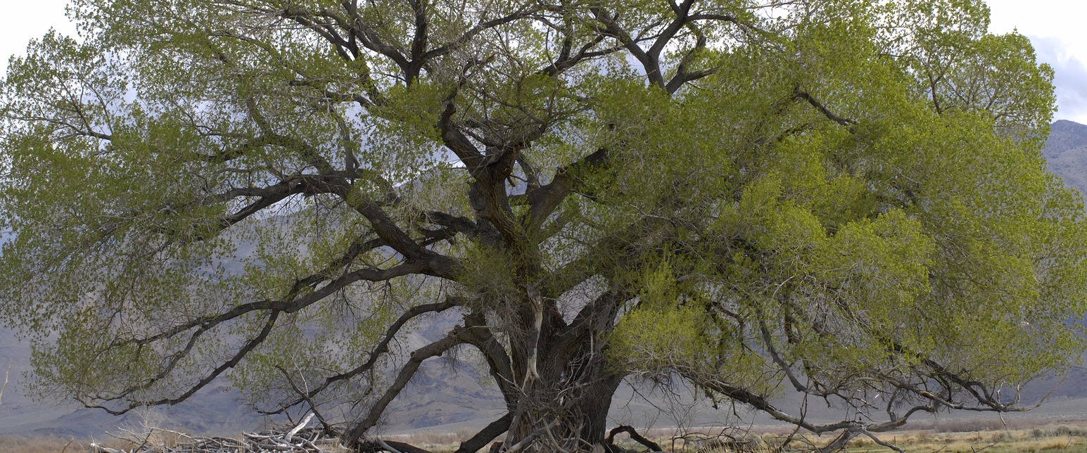 Cottonwood Family Medicine Eagle, Idaho
